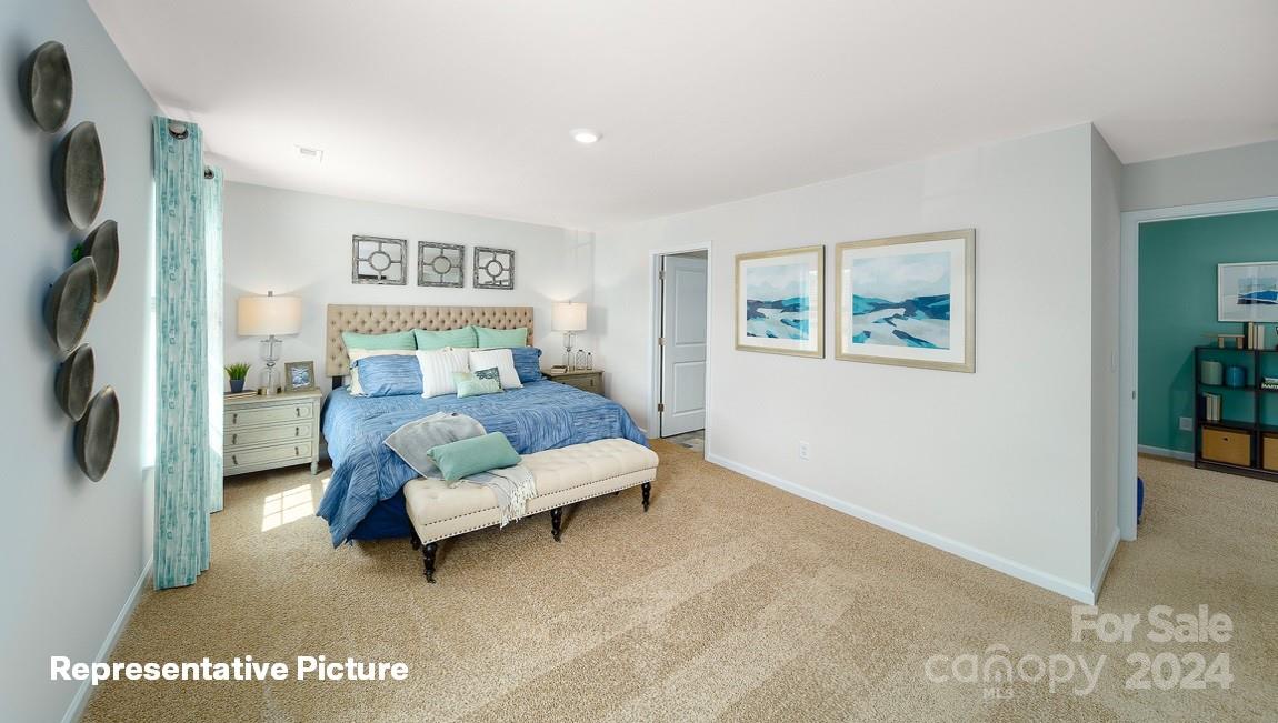 2507 Goose Fair Road Maiden, NC 28650 - Photo 27 of 29 Gallery Image 27