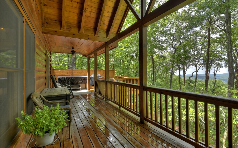 157 Little Bushy Head Road Blue Ridge, GA 30513 - Photo 37 of 50 Additional View