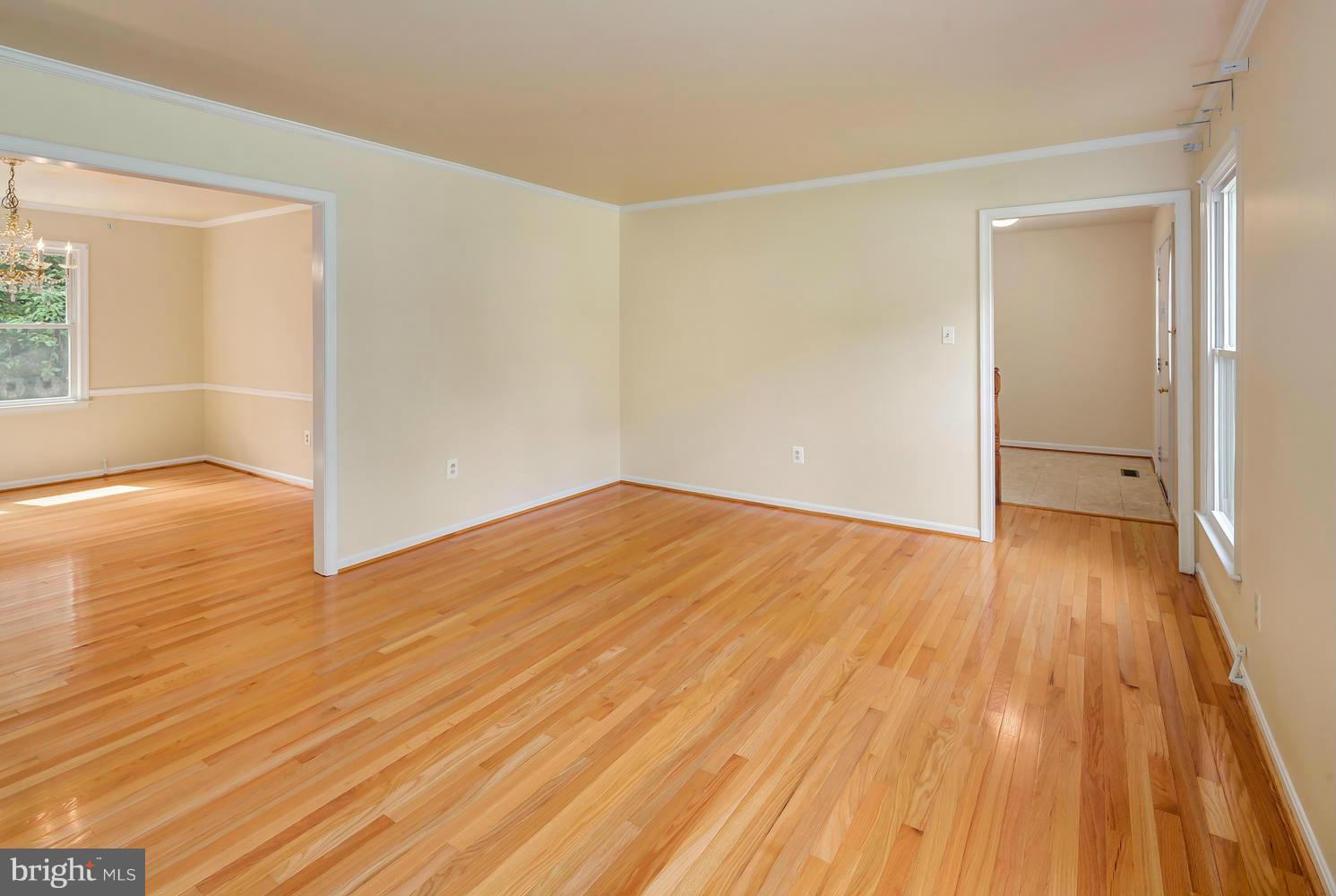 8107 Viola Street Springfield, VA 22152 - Photo 6 of 30 Living Room