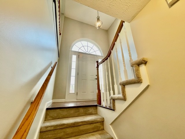 250 Cheshire Road Clarksville, TN 37043 - Photo 4 of 54 Gallery Image 4