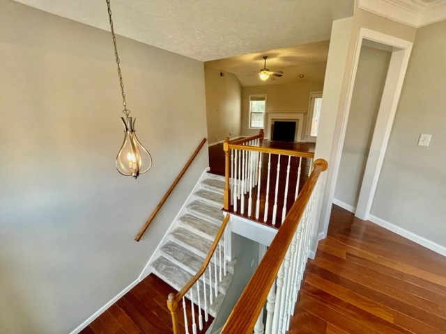 250 Cheshire Road Clarksville, TN 37043 - Photo 5 of 54 Gallery Image 5