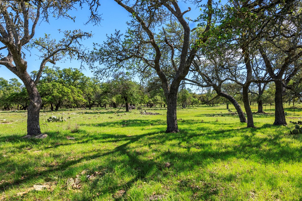 283 Dally Road, Unit 14 Comfort, TX 78013 - Photo 12 of 12 Gallery Image 12