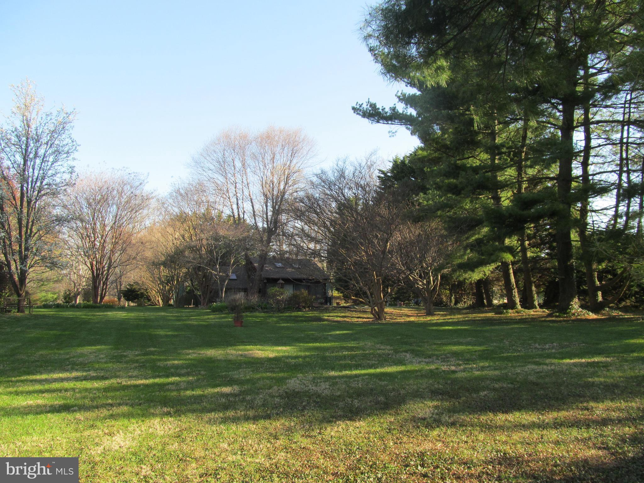 1413 Sharps Point Road Annapolis, MD 21409 - Photo 14 of 29 a view of a park with large trees