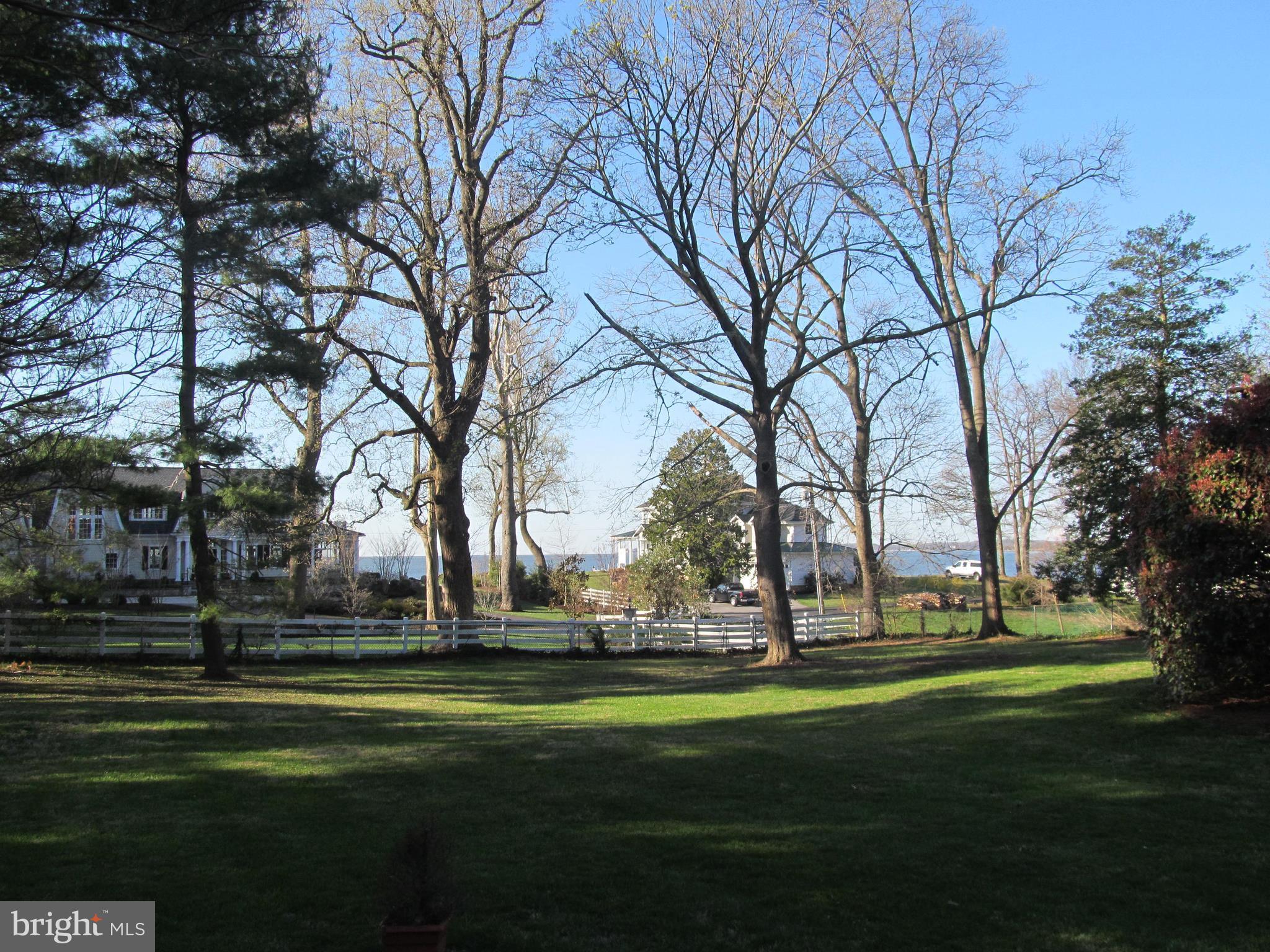 1413 Sharps Point Road Annapolis, MD 21409 - Photo 16 of 29 a garden view with trees