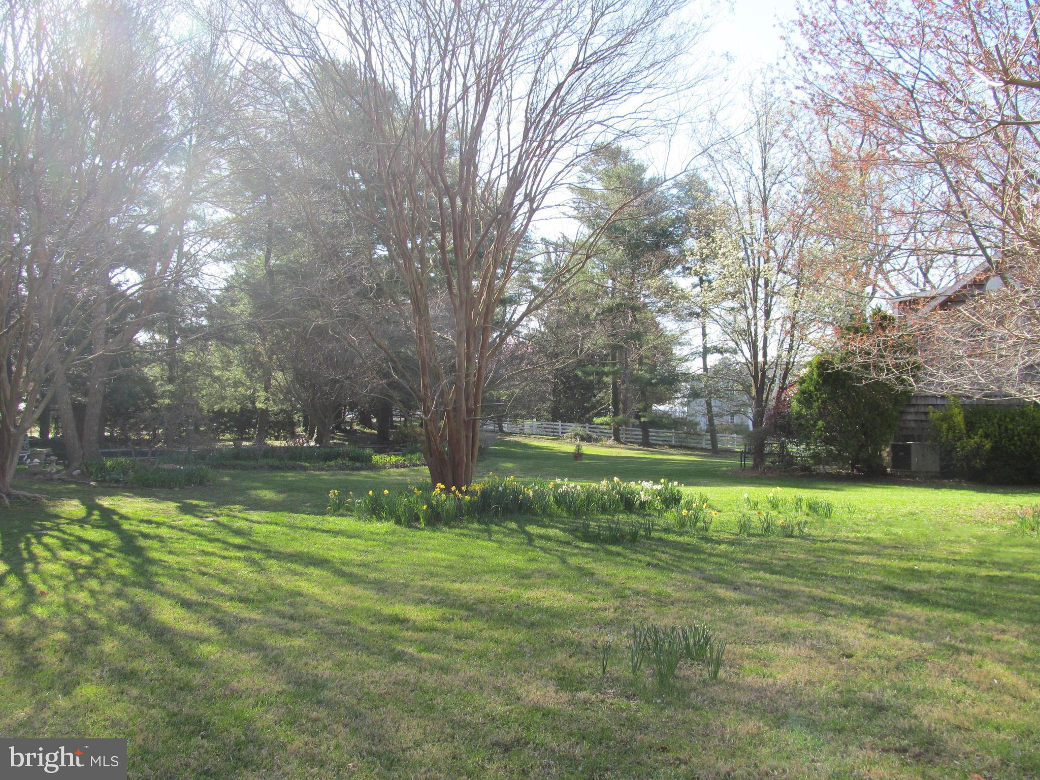 1413 Sharps Point Road Annapolis, MD 21409 - Photo 18 of 29