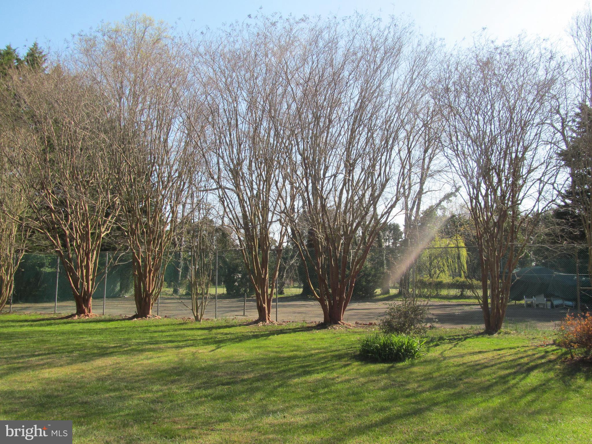 1413 Sharps Point Road Annapolis, MD 21409 - Photo 19 of 29 a garden view with trees