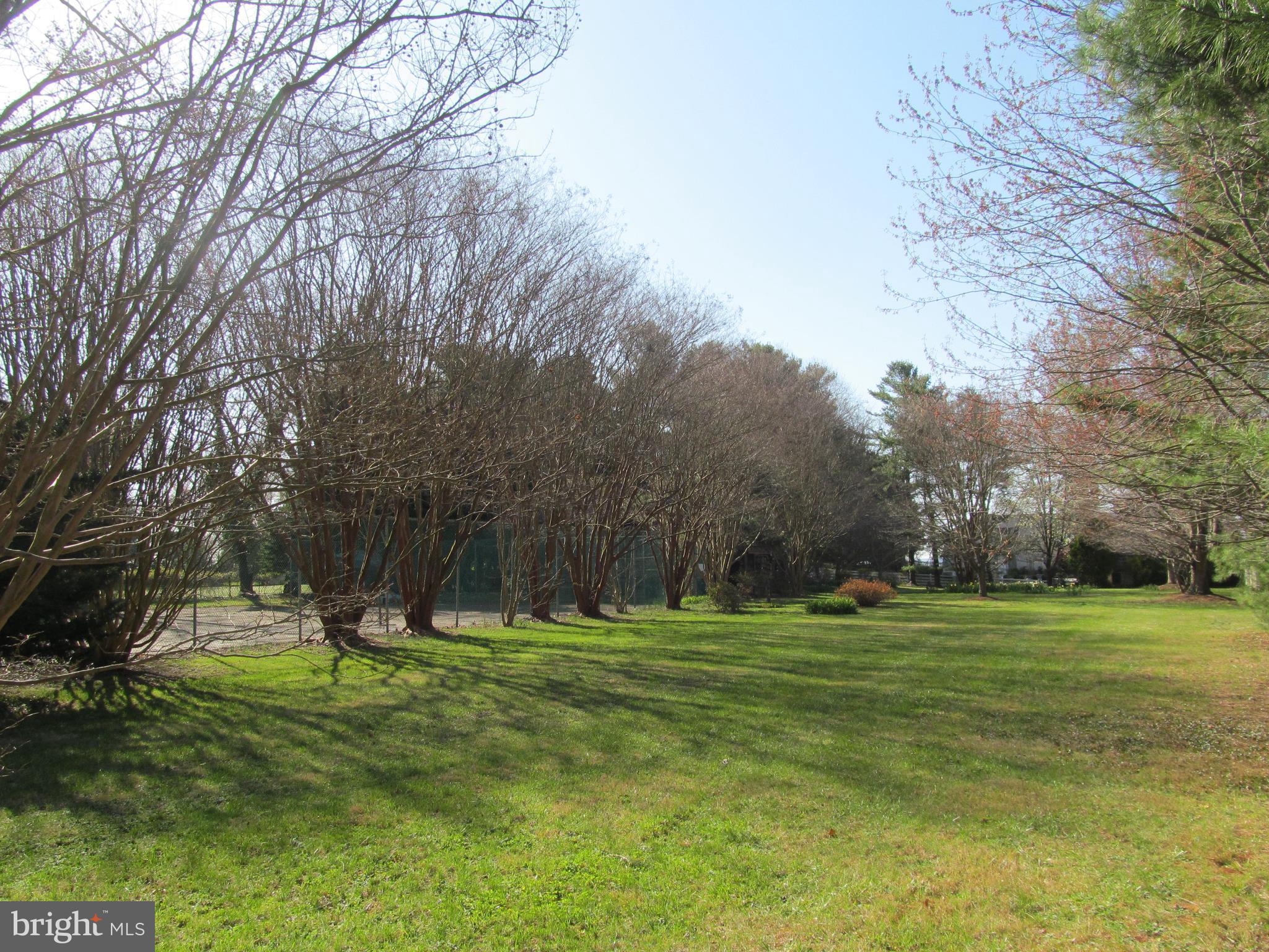 1413 Sharps Point Road Annapolis, MD 21409 - Photo 20 of 29 a view of a park with large trees