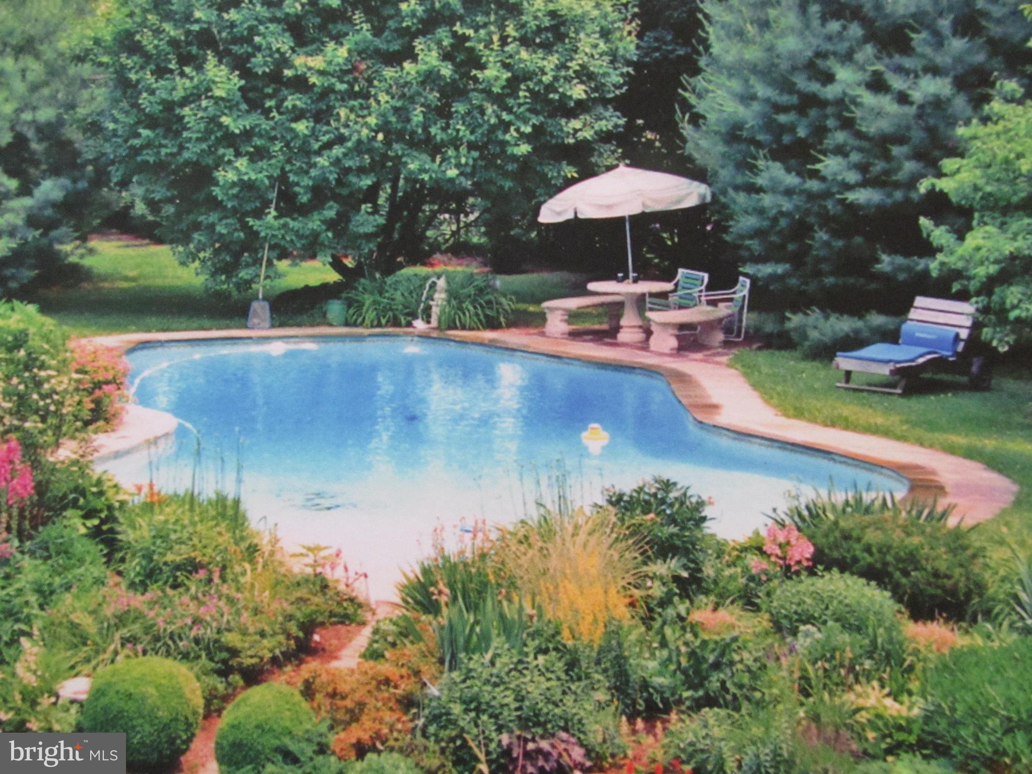 1413 Sharps Point Road Annapolis, MD 21409 - Photo 3 of 29 a view of a swimming pool with lawn chairs under an umbrella