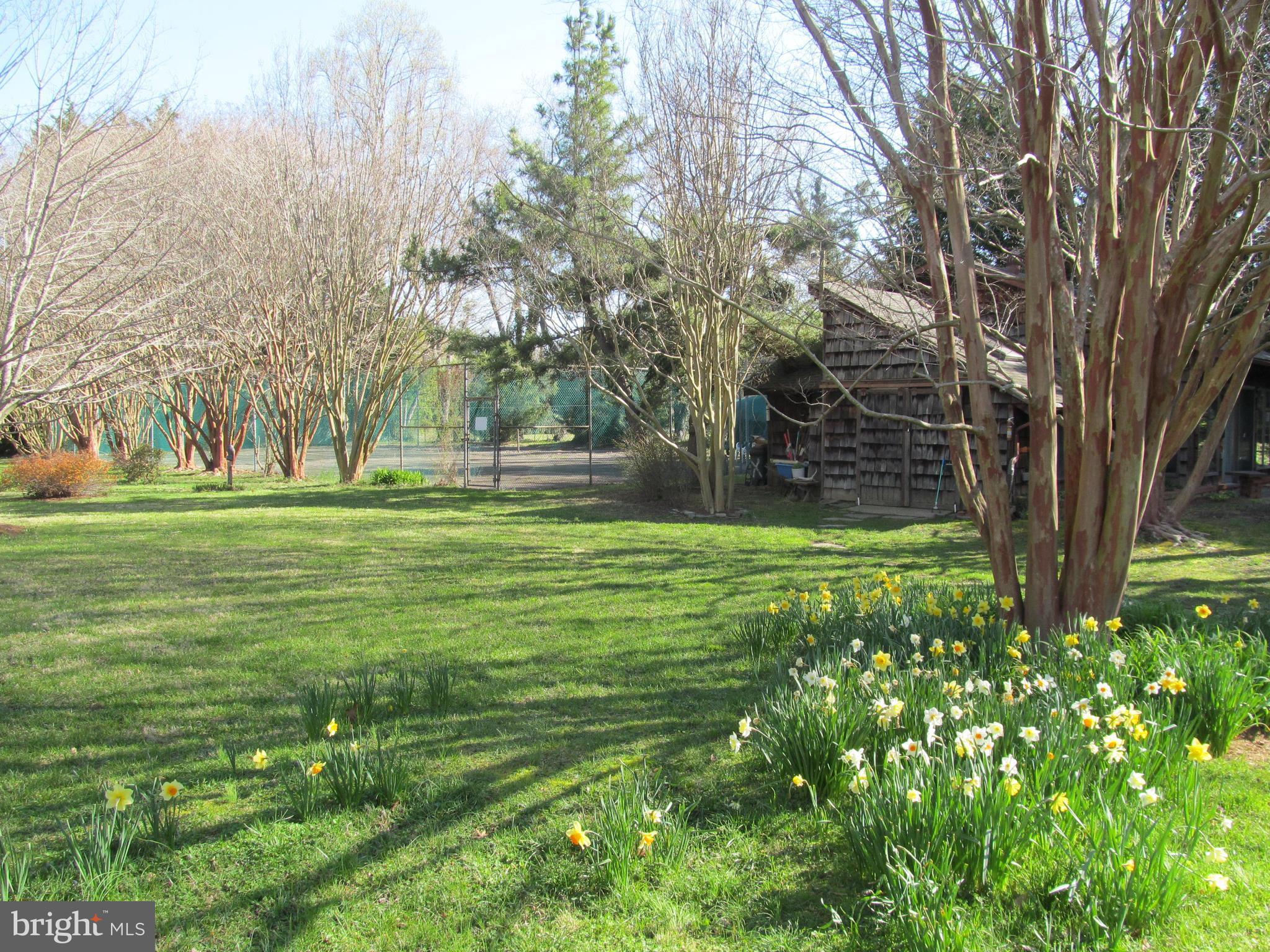 1413 Sharps Point Road Annapolis, MD 21409 - Photo 22 of 29 a view of a park with large trees