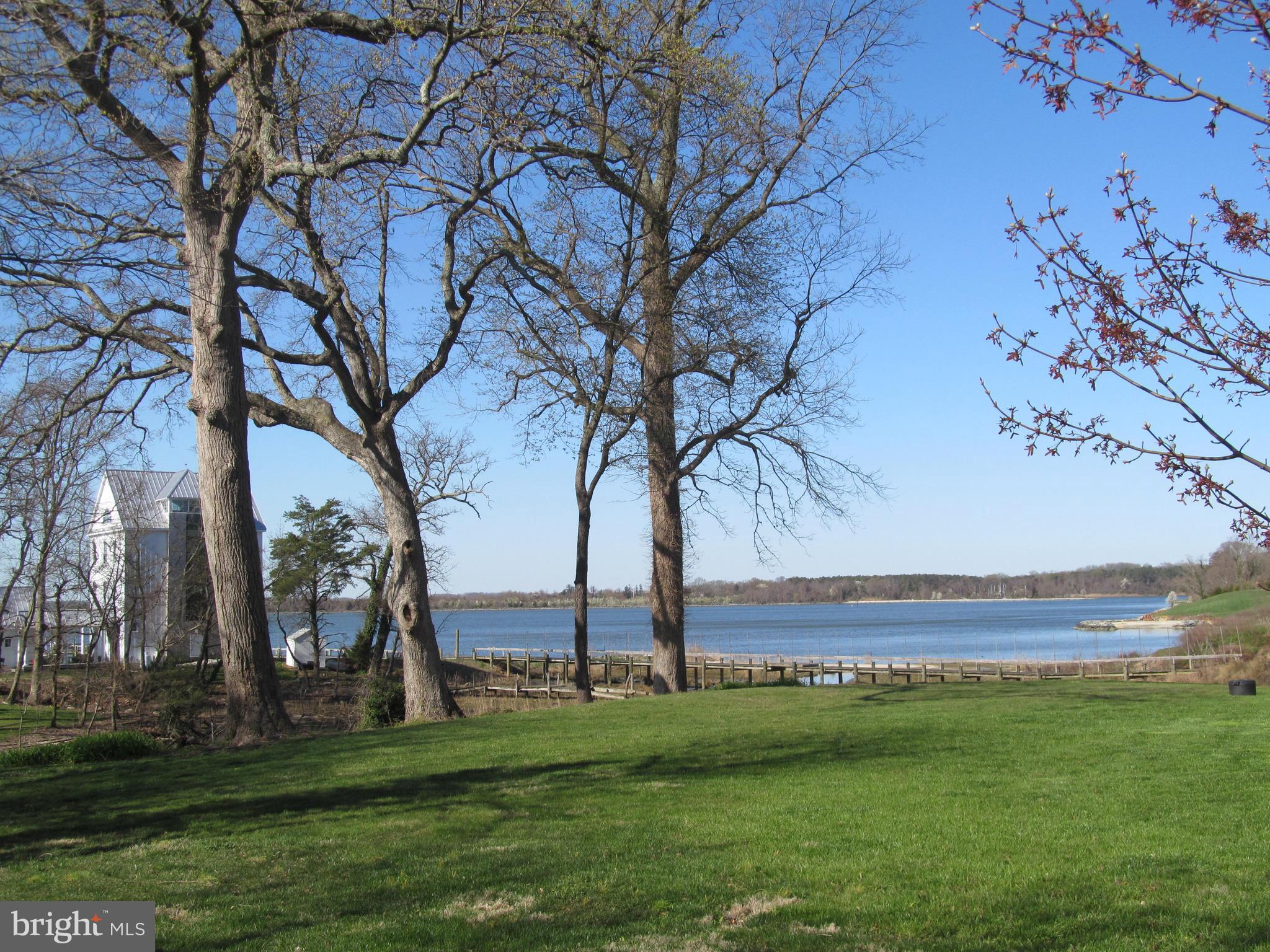 1413 Sharps Point Road Annapolis, MD 21409 - Photo 25 of 29 a view of a field with an trees