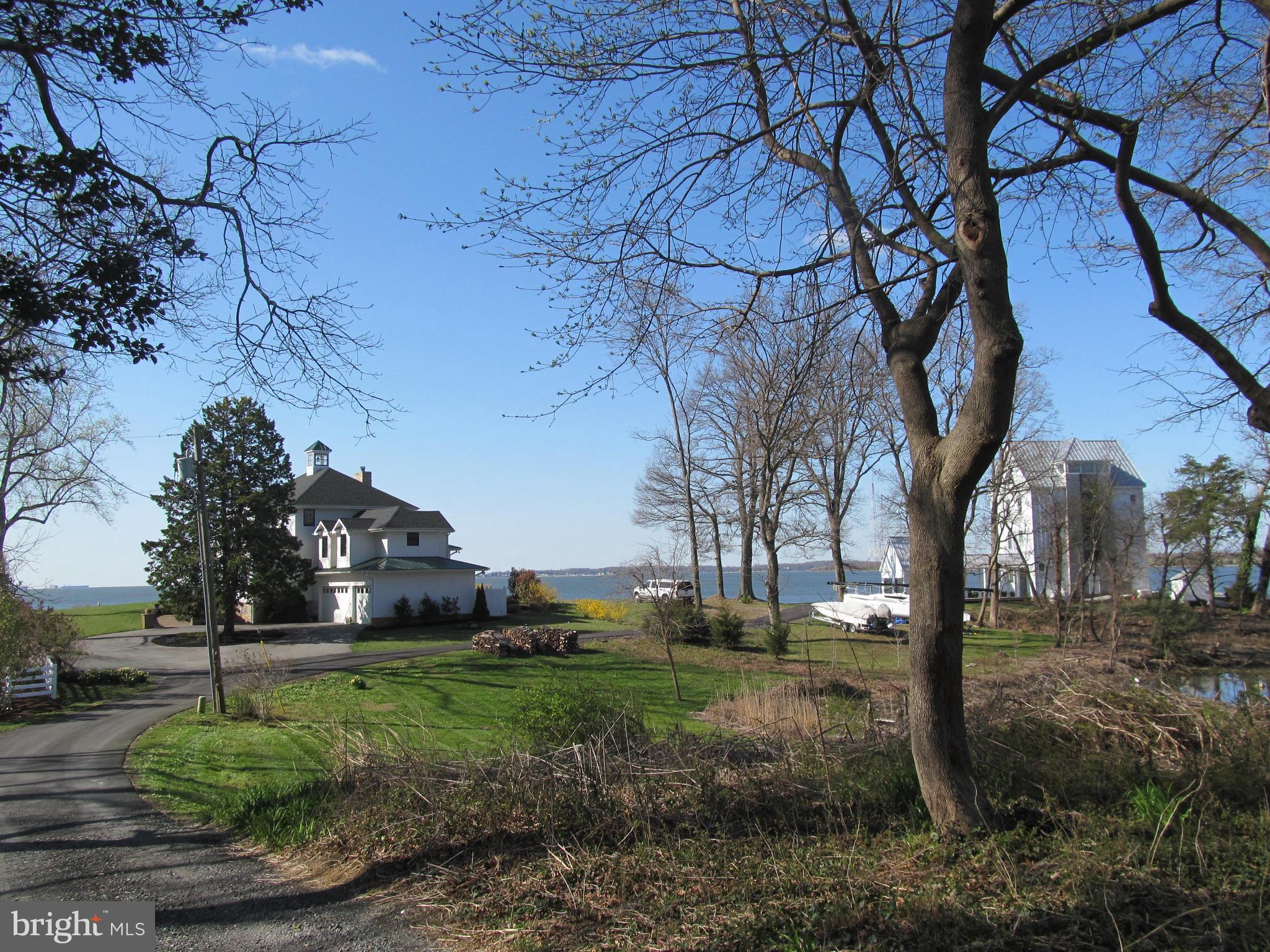 1413 Sharps Point Road Annapolis, MD 21409 - Photo 28 of 29 a view of yard with tree s