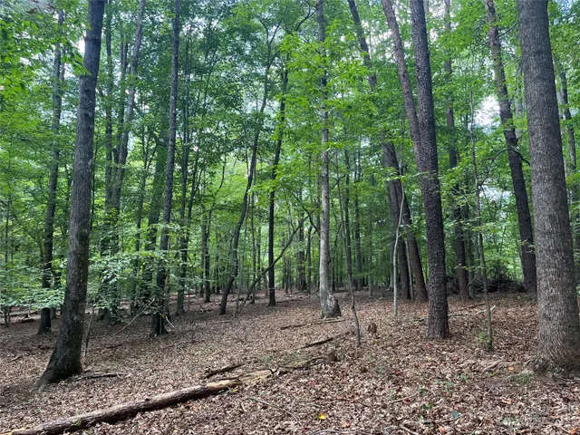 $165,000 | 0 Fox Mountain Road, Unit 9, Columbus, NC 28722