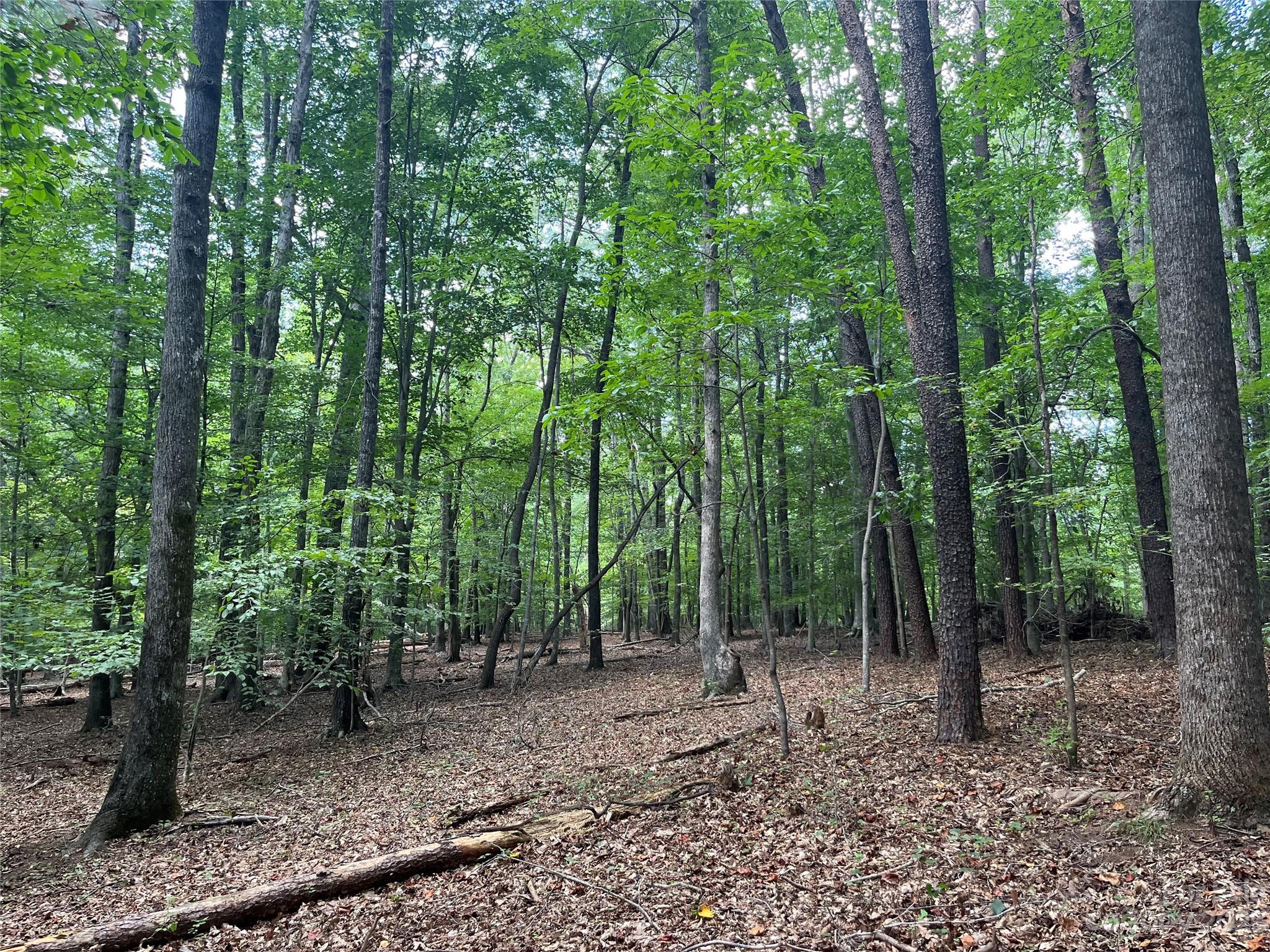 0 Fox Mountain Road, Unit 9 Columbus, NC 28722 - Photo 1 of 6