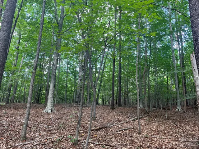 $165,000 | 0 Fox Mountain Road, Unit 9, Columbus, NC 28722