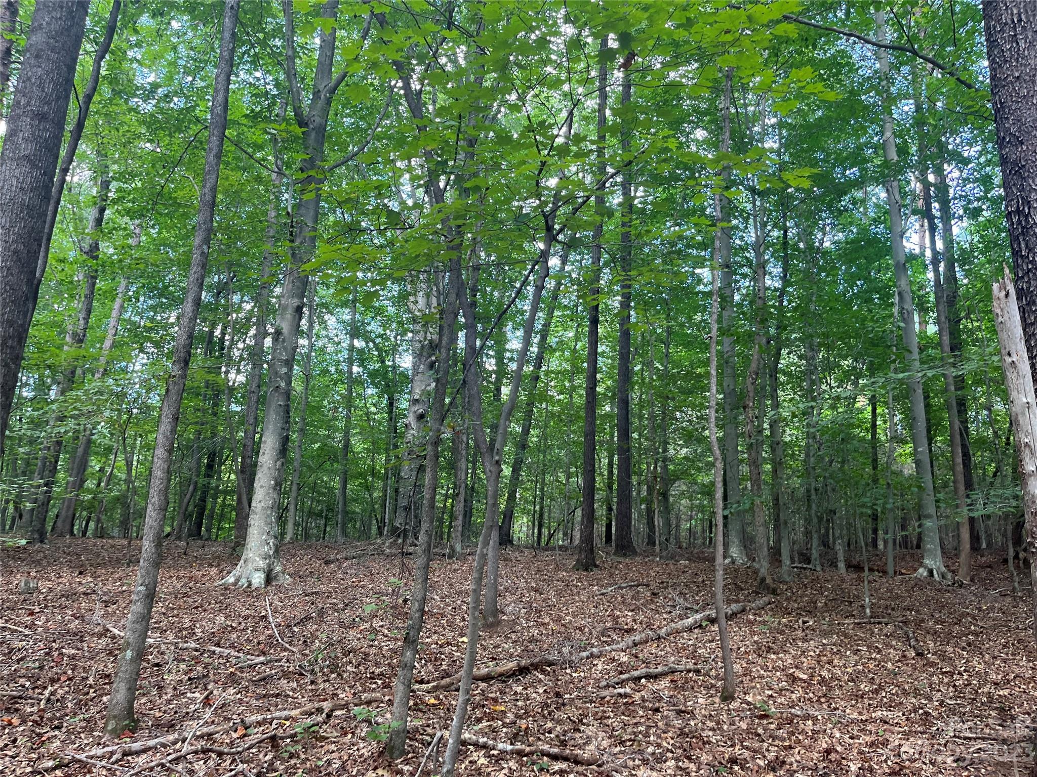 0 Fox Mountain Road, Unit 9 Columbus, NC 28722 - Photo 2 of 6