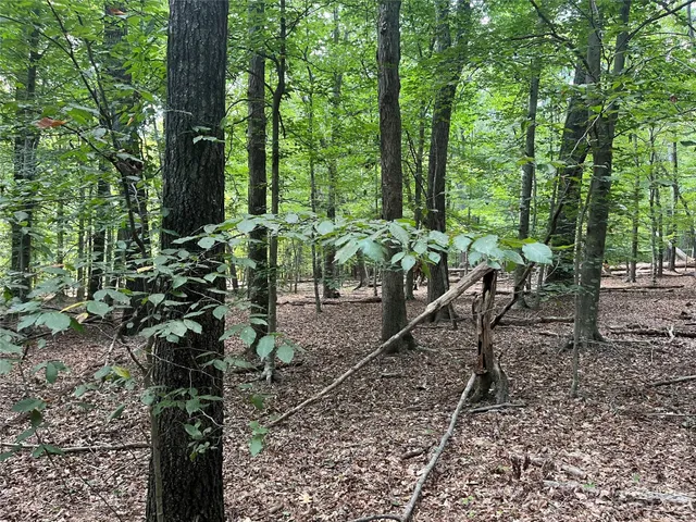 $165,000 | 0 Fox Mountain Road, Unit 9, Columbus, NC 28722