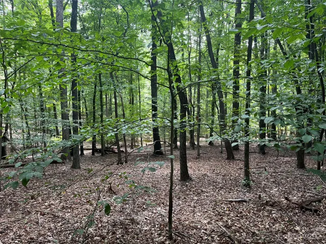 $165,000 | 0 Fox Mountain Road, Unit 9, Columbus, NC 28722