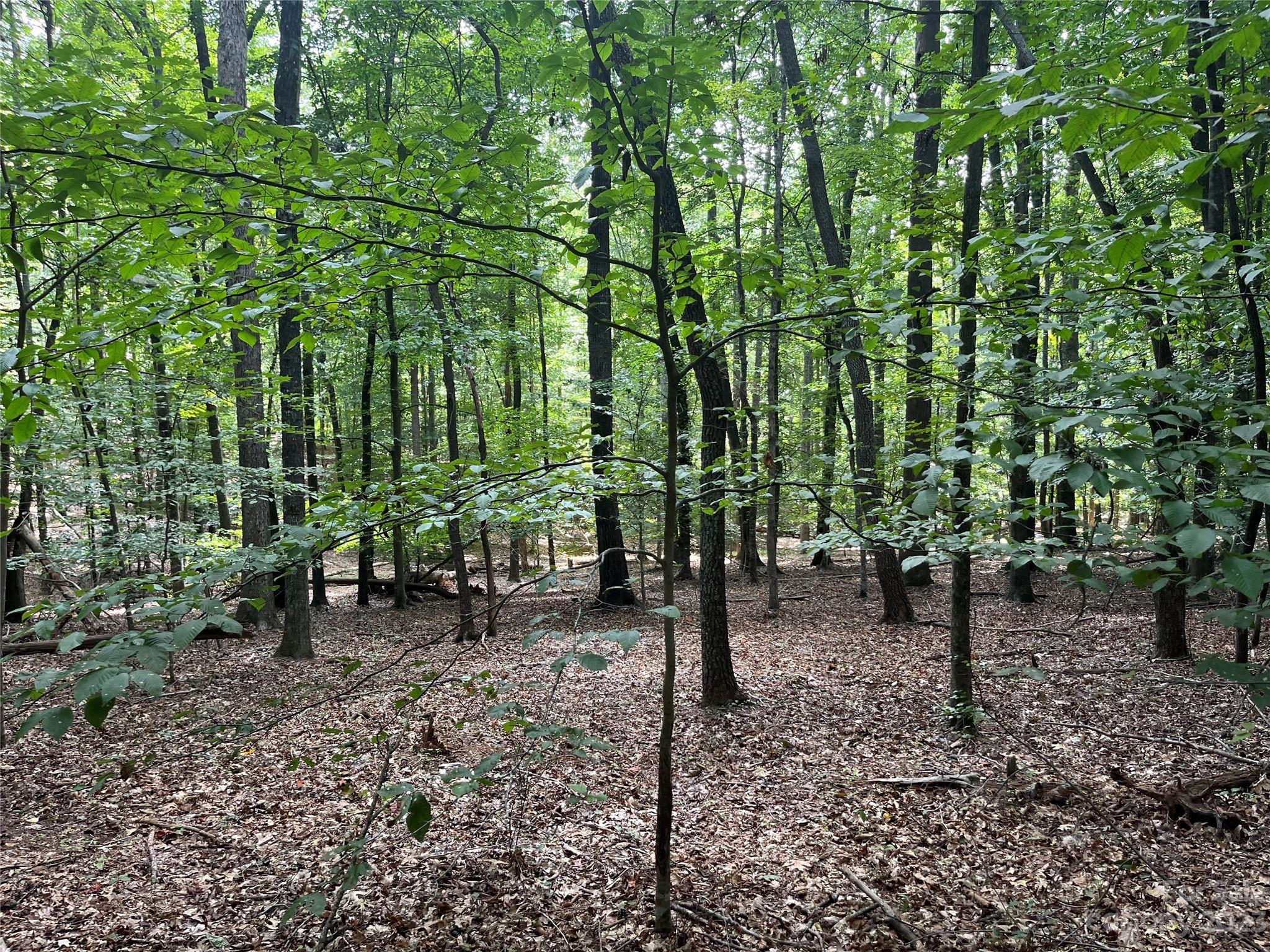 0 Fox Mountain Road, Unit 9 Columbus, NC 28722 - Photo 4 of 6