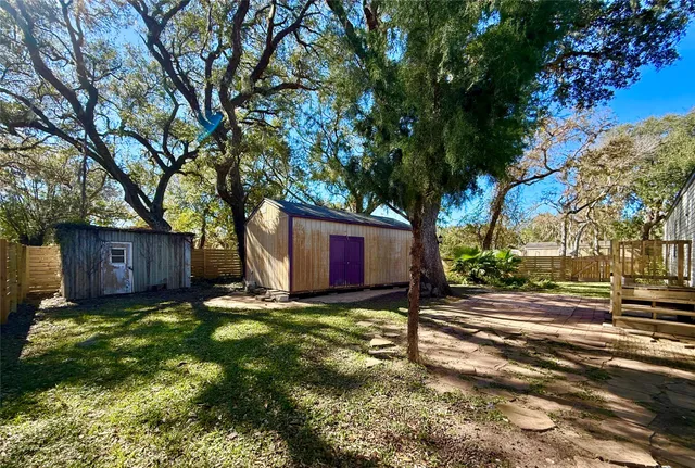 a view of a yard with large tree