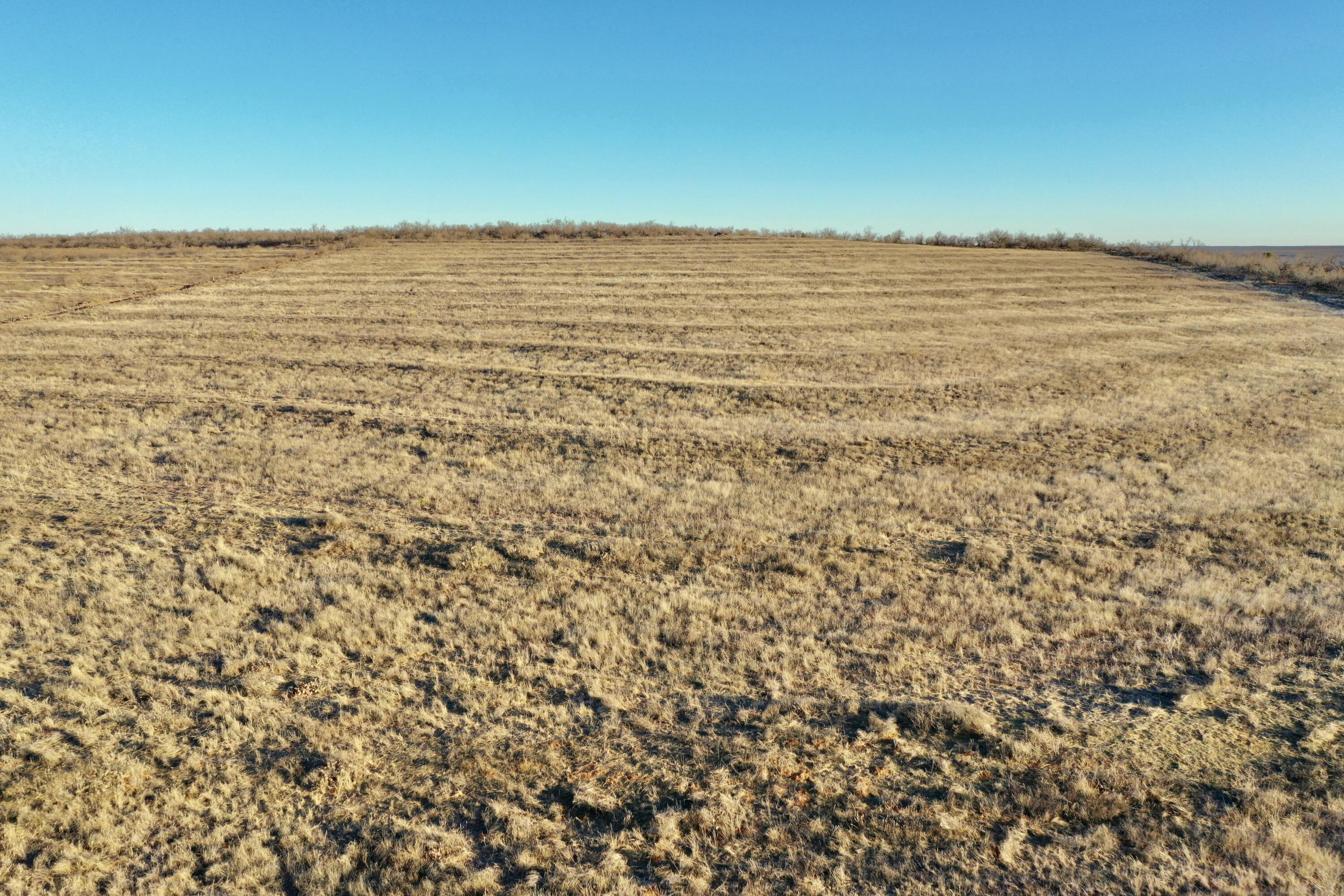 Fm657 Turkey, TX 79261 - Photo 17 of 34 tempImageEdAVE9