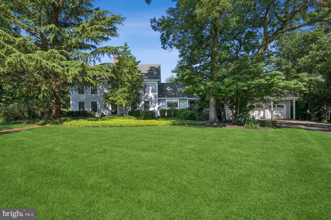 a view of a trees in a yard