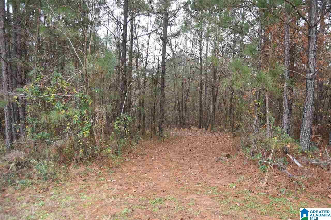 135 Wilson Way Weaver, AL 36277 - Photo 45 of 46