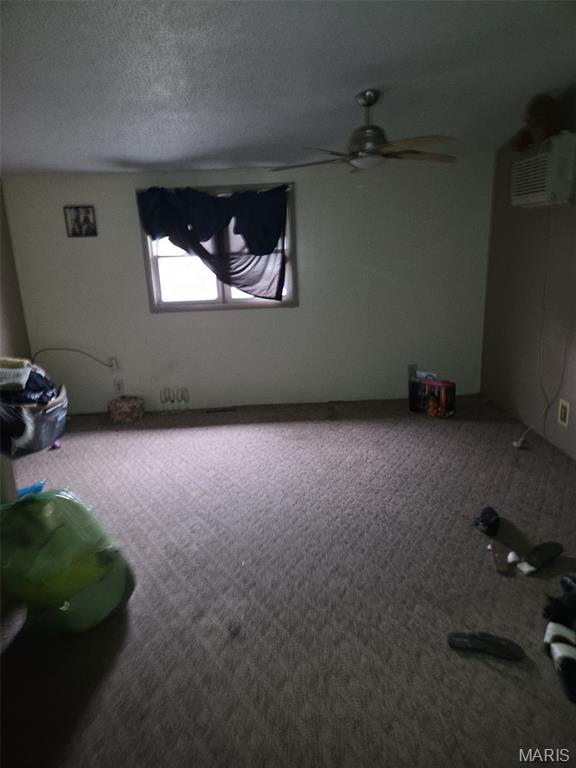 3217 Geitz Avenue East St. Louis, IL 62205 - Photo 10 of 11