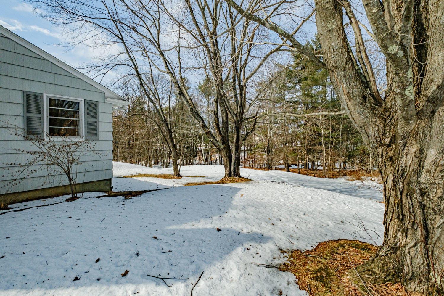 7 Frye Drive Cumberland, ME 04021 - Photo 44 of 54 20200302gp-61067