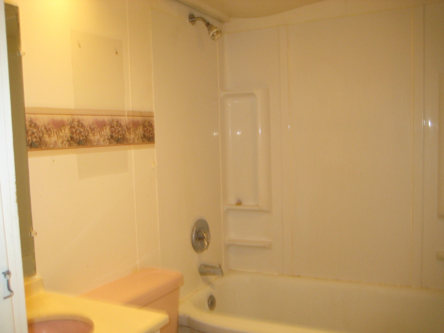 1691 Hoover Road Deer Grove, IL 61243 - Photo 6 of 12 a bathroom with a shower