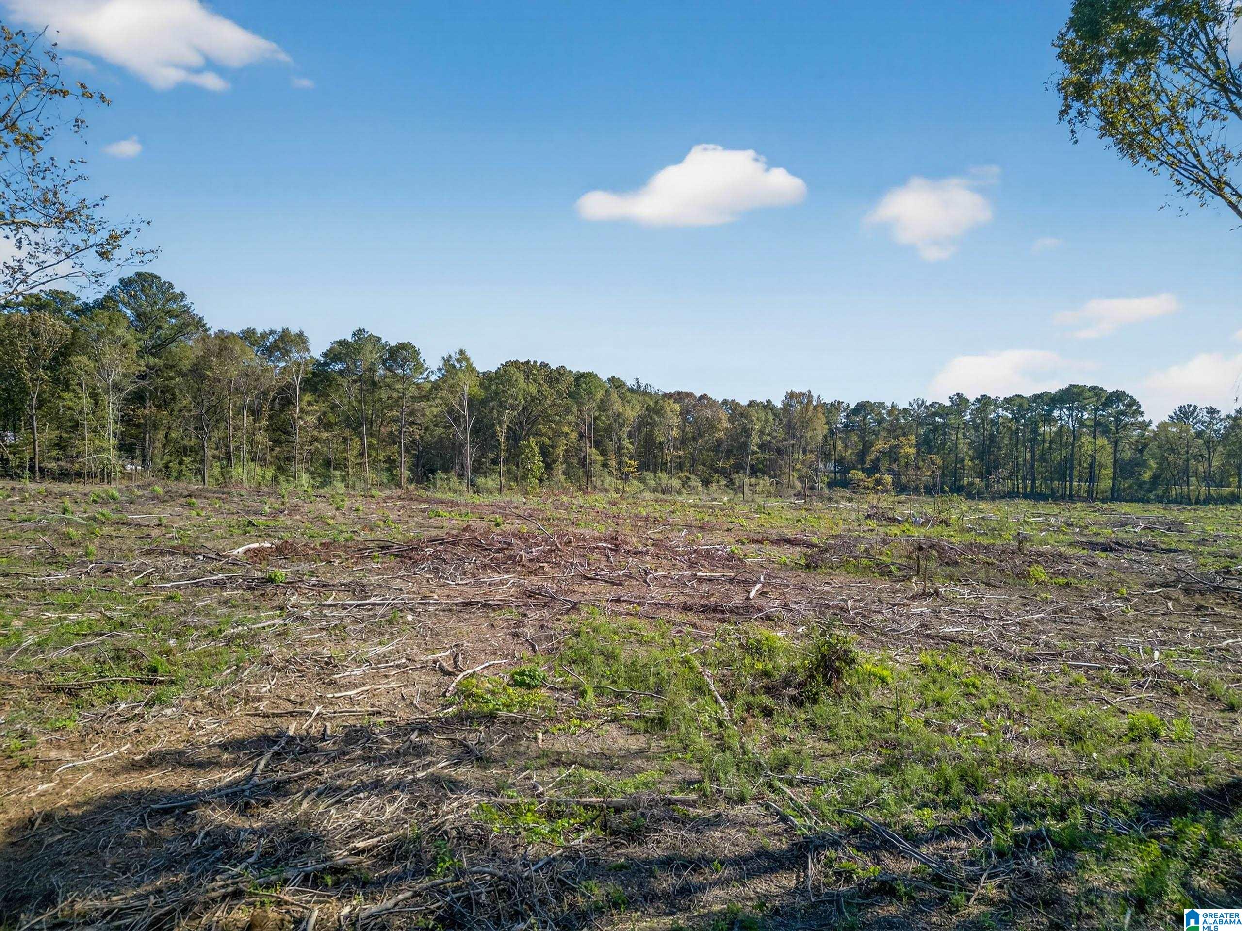 675 County Line Road West Eastaboga, AL 36260 - Photo 7 of 10