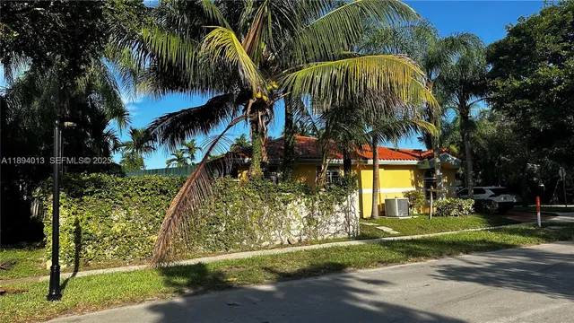 a view of a park with a tree