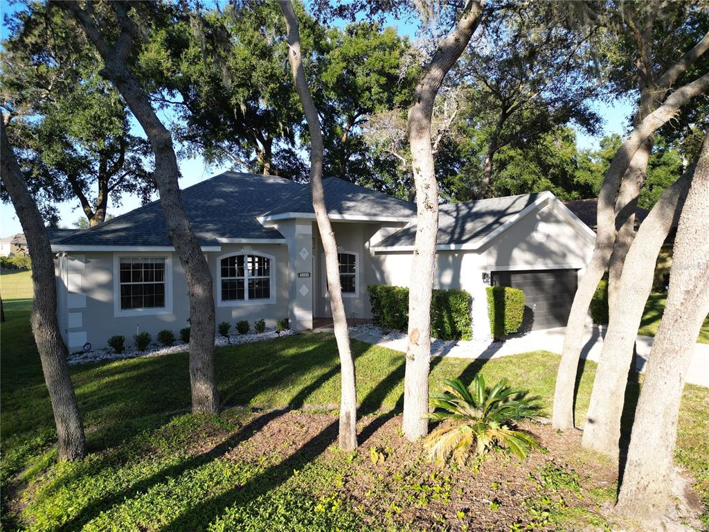 2560 Tall Maple Loop Ocoee, FL 34761 - Photo 6 of 32 front view of house with a yard