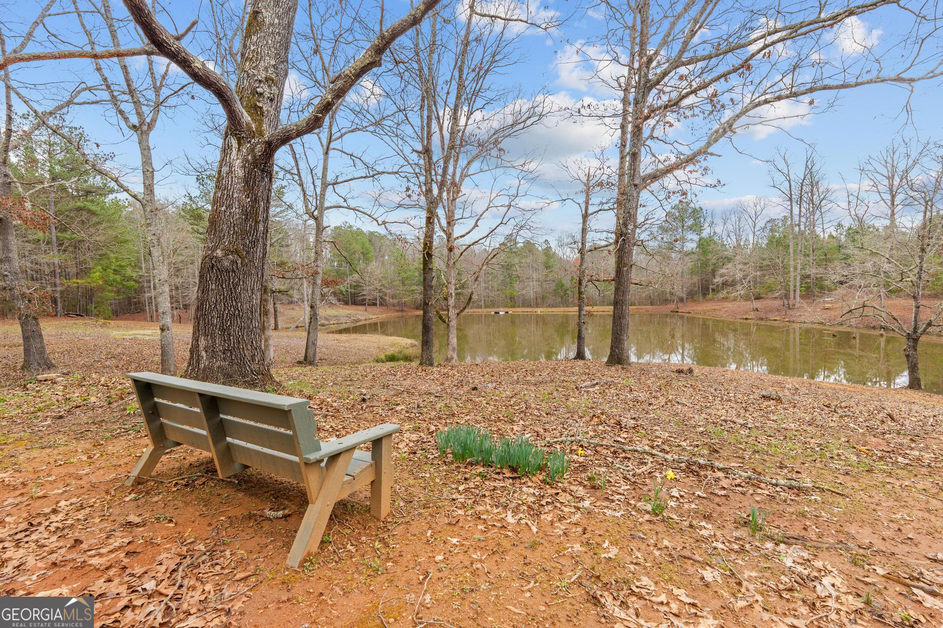 340 Noles Road Franklin, GA 30217 - Photo 17 of 31