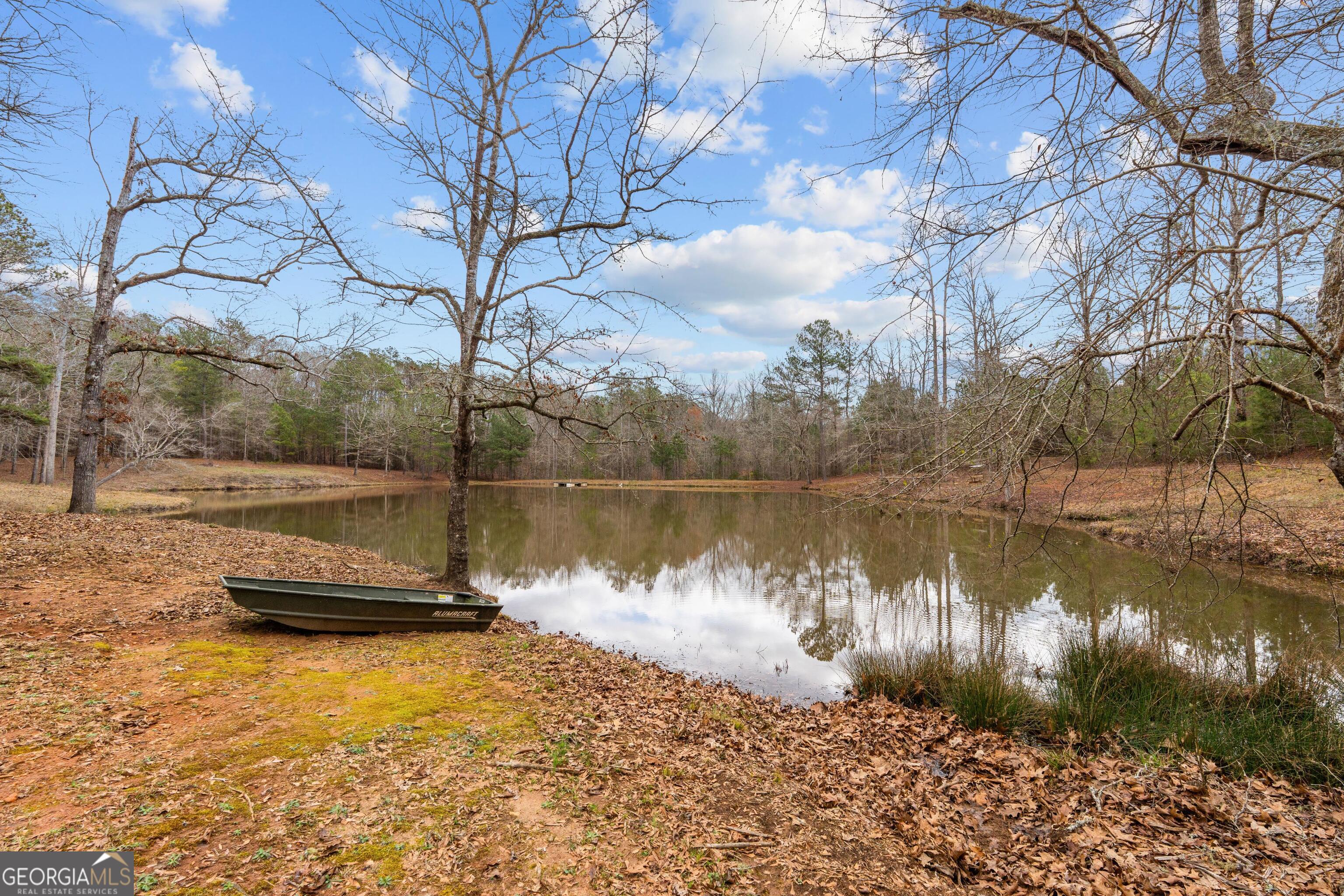 340 Noles Road Franklin, GA 30217 - Photo 19 of 31