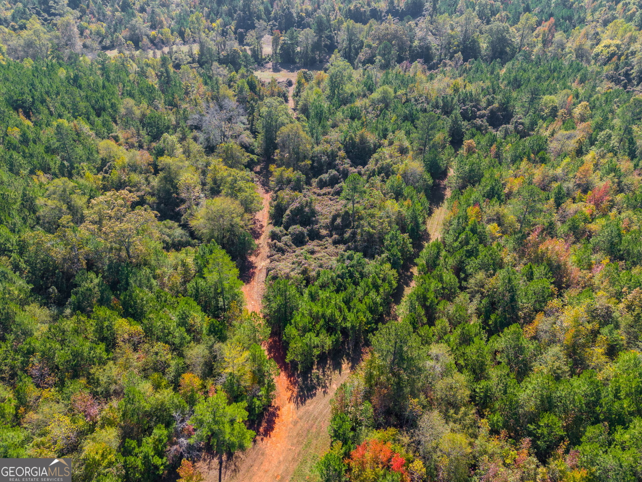 340 Noles Road Franklin, GA 30217 - Photo 23 of 31