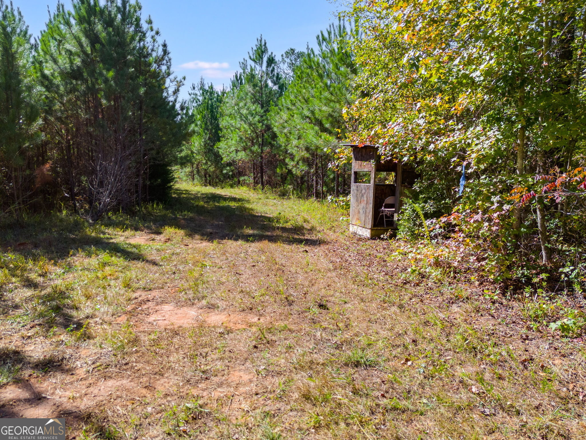 340 Noles Road Franklin, GA 30217 - Photo 27 of 31