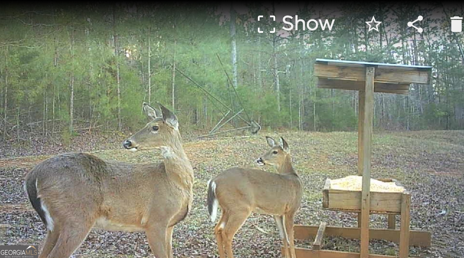 340 Noles Road Franklin, GA 30217 - Photo 31 of 31