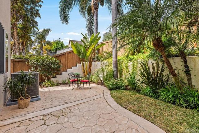 a view of a park with palm trees