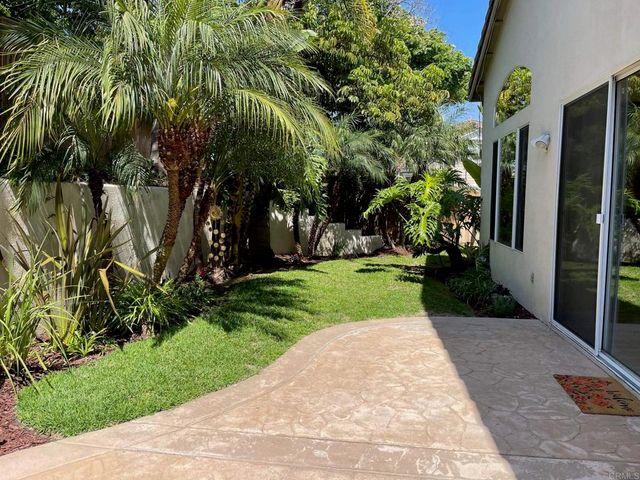 a view of a park with plants and trees
