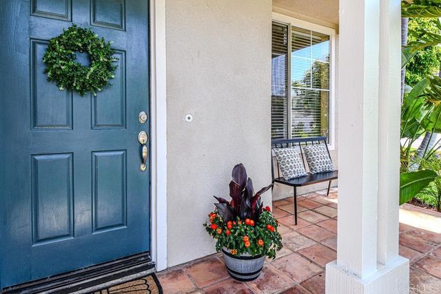 a potted plant sitting in front of a door