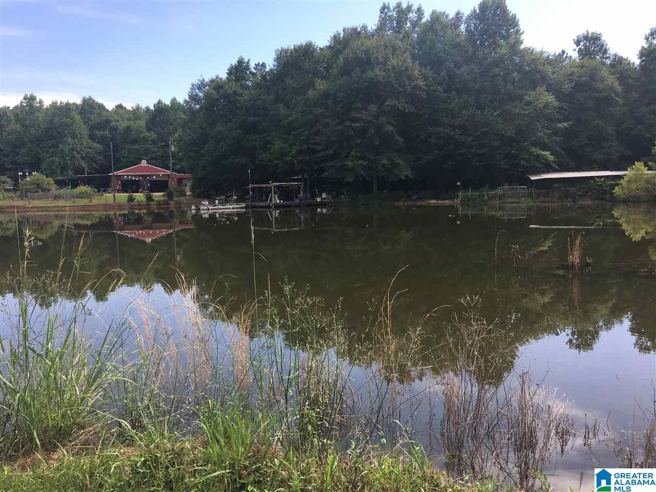 9276 County Road 2 Waverly, AL 36879 - Photo 2 of 38