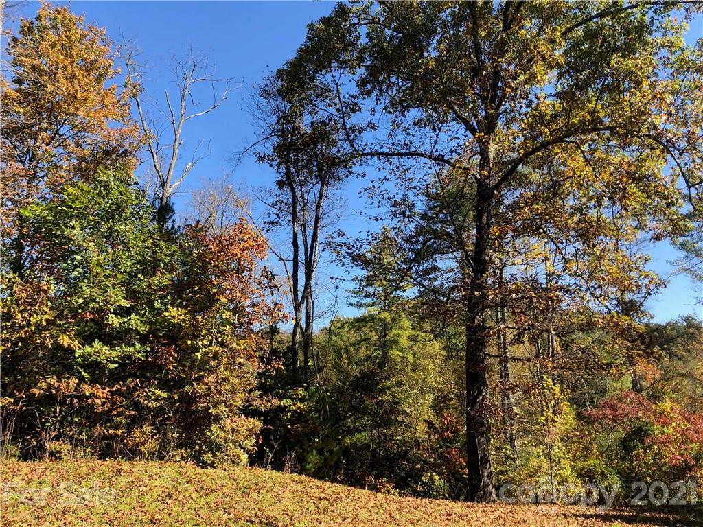0 Laurel Heights Road, Unit 35 Highlands, NC 28741 - Photo 1 of 14 Gallery Image 1