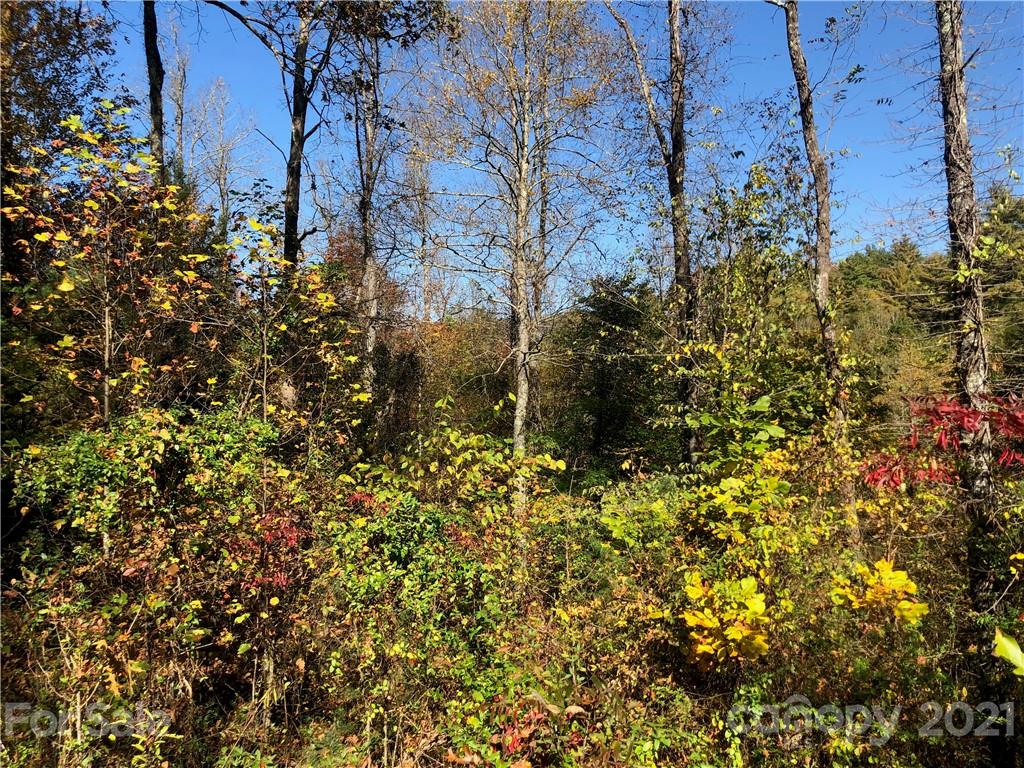 0 Laurel Heights Road, Unit 35 Highlands, NC 28741 - Photo 3 of 14 Gallery Image 3