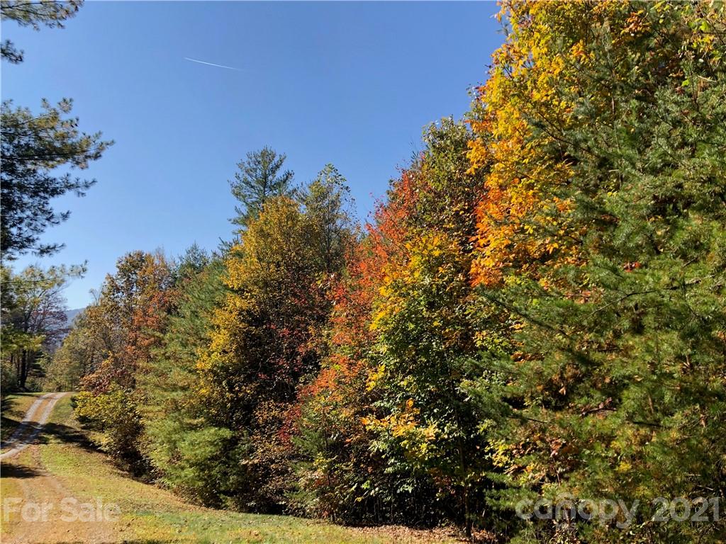 0 Laurel Heights Road, Unit 35 Highlands, NC 28741 - Photo 4 of 14 Gallery Image 4
