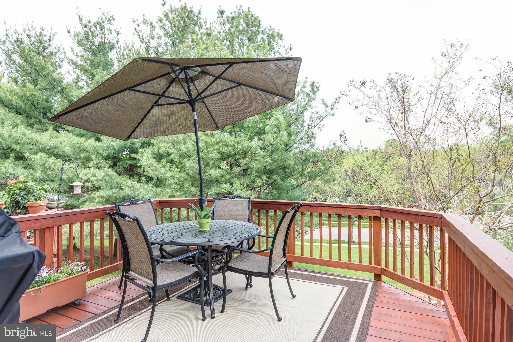 1234 Quaker Ridge Drive Arnold, MD 21012 - Photo 11 of 26 Rear deck is accessed from the kitchen and