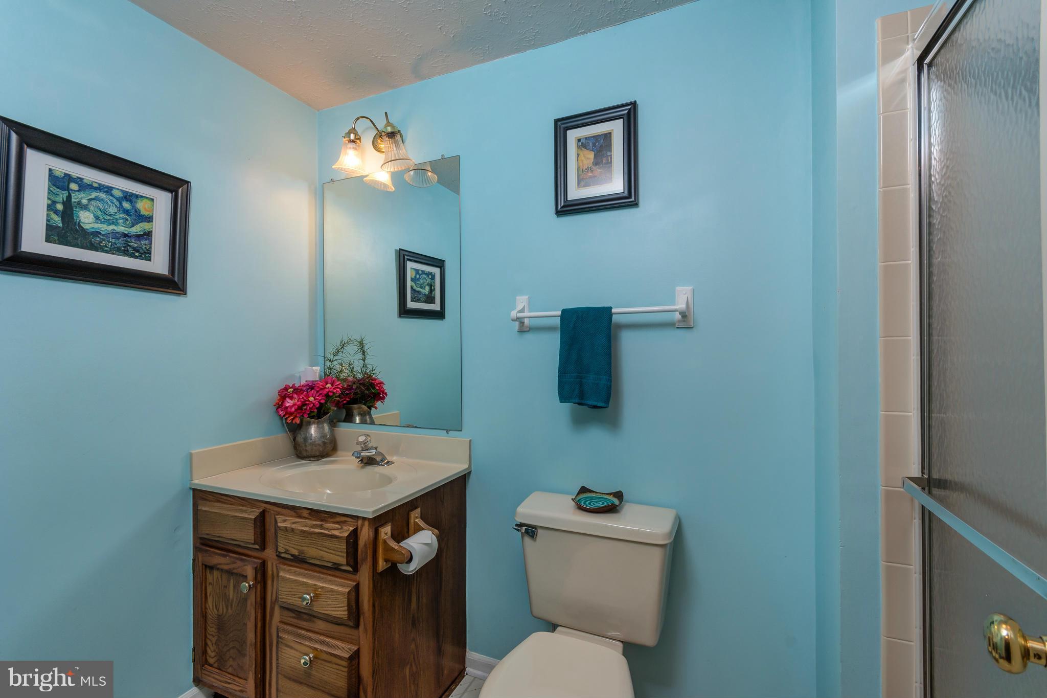 1234 Quaker Ridge Drive Arnold, MD 21012 - Photo 21 of 26 Lower level bathroom with shower saves