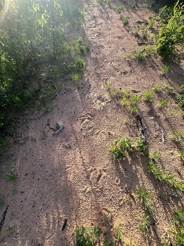 $135,000 | 335 County Road 335, Anson, TX 79501