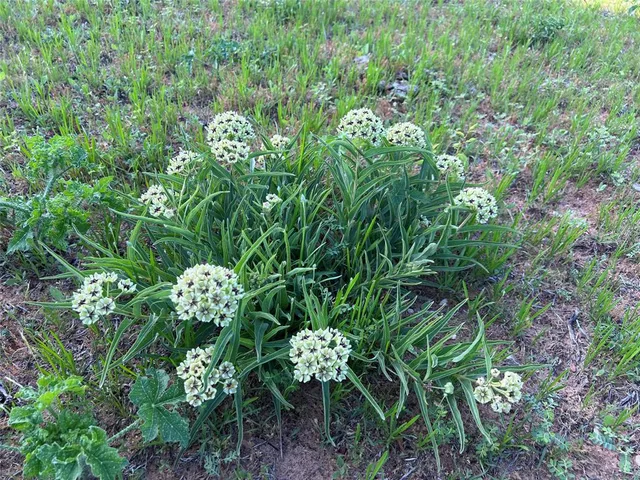 $135,000 | 335 County Road 335, Anson, TX 79501