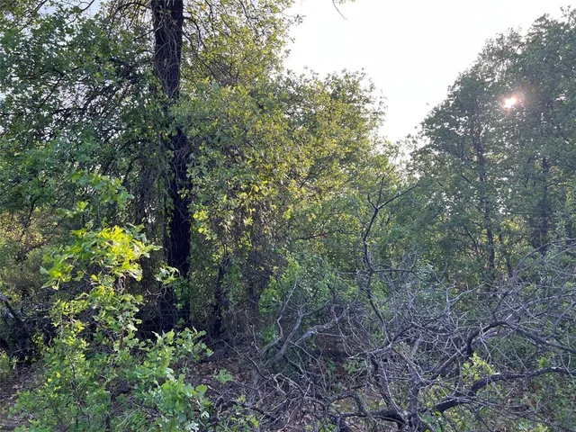 $135,000 | 335 County Road 335, Anson, TX 79501