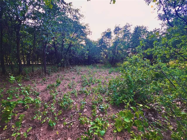 $135,000 | 335 County Road 335, Anson, TX 79501